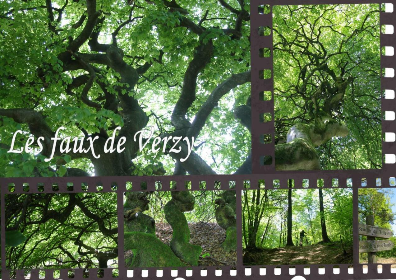 Bedinreims "Burgundy Bottle" 110M2 Exceptional, 4 Chambres Doubles, 2 Bain, Free Park & Wifi, Tout Equipe Εξωτερικό φωτογραφία